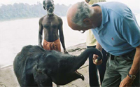 Elephent Training Camp near Thattekkad, Kerala